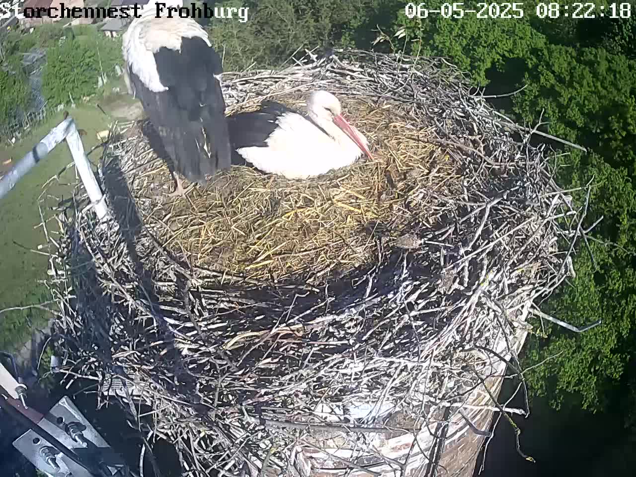 Now live: Frohburg