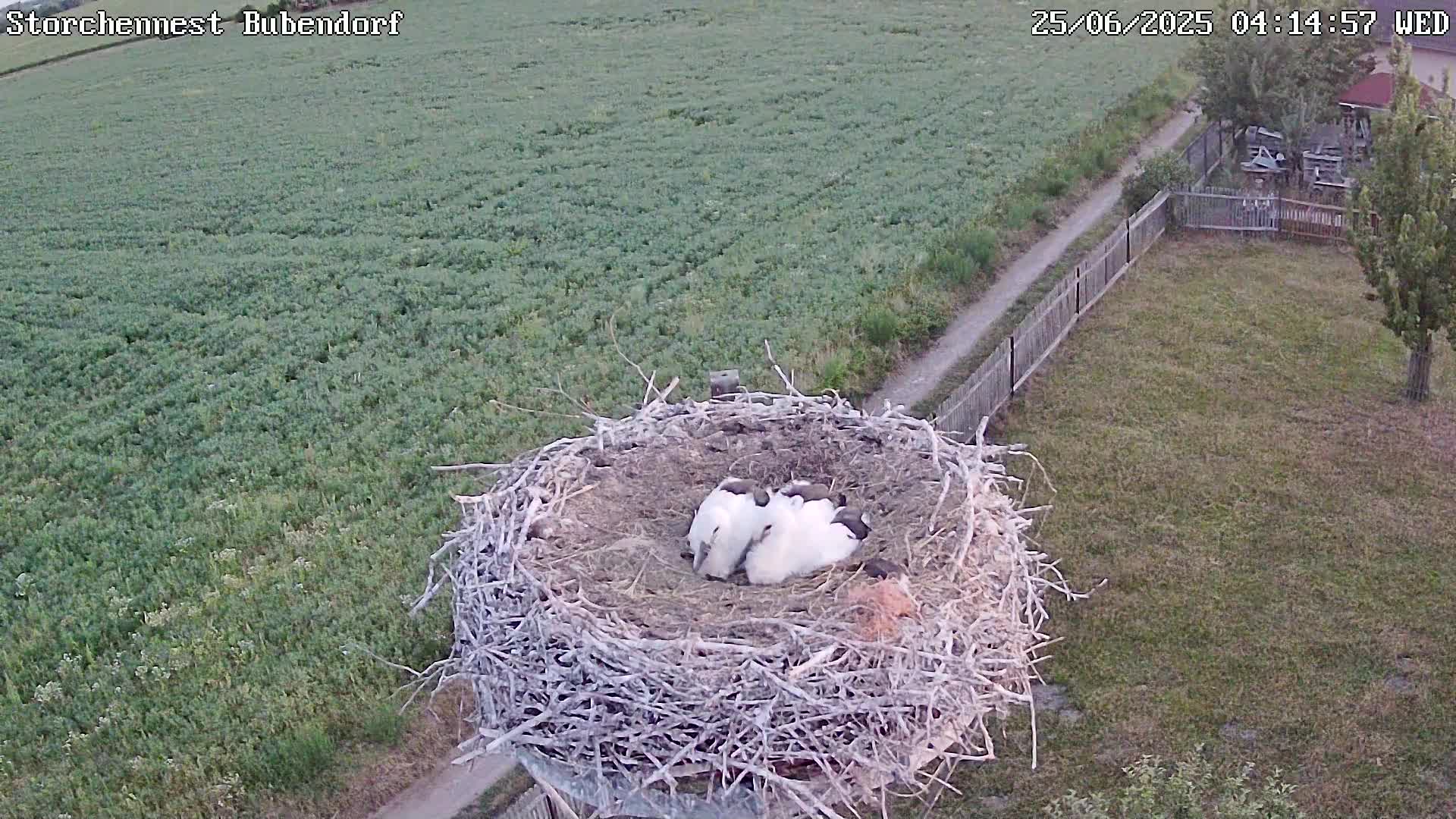 Now live: storchbubendorf