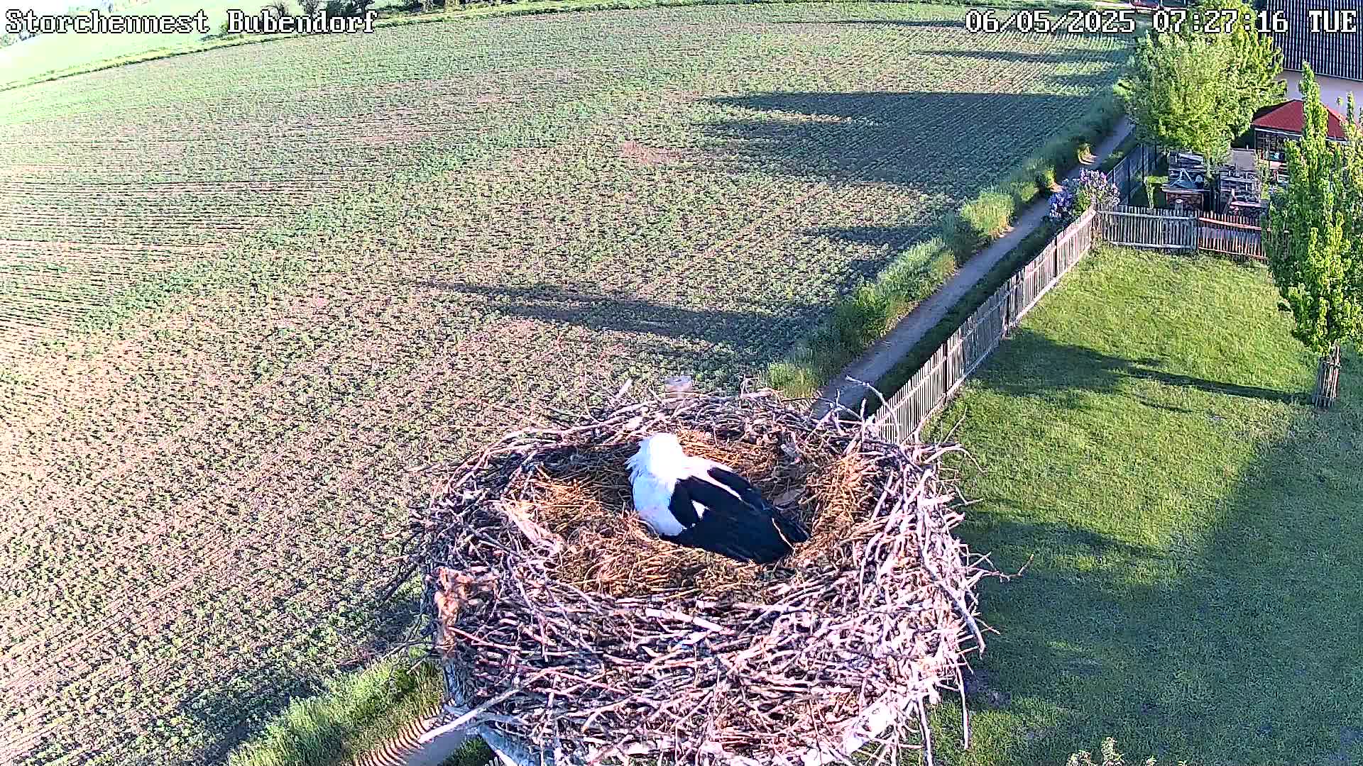 Now live: storchbubendorf