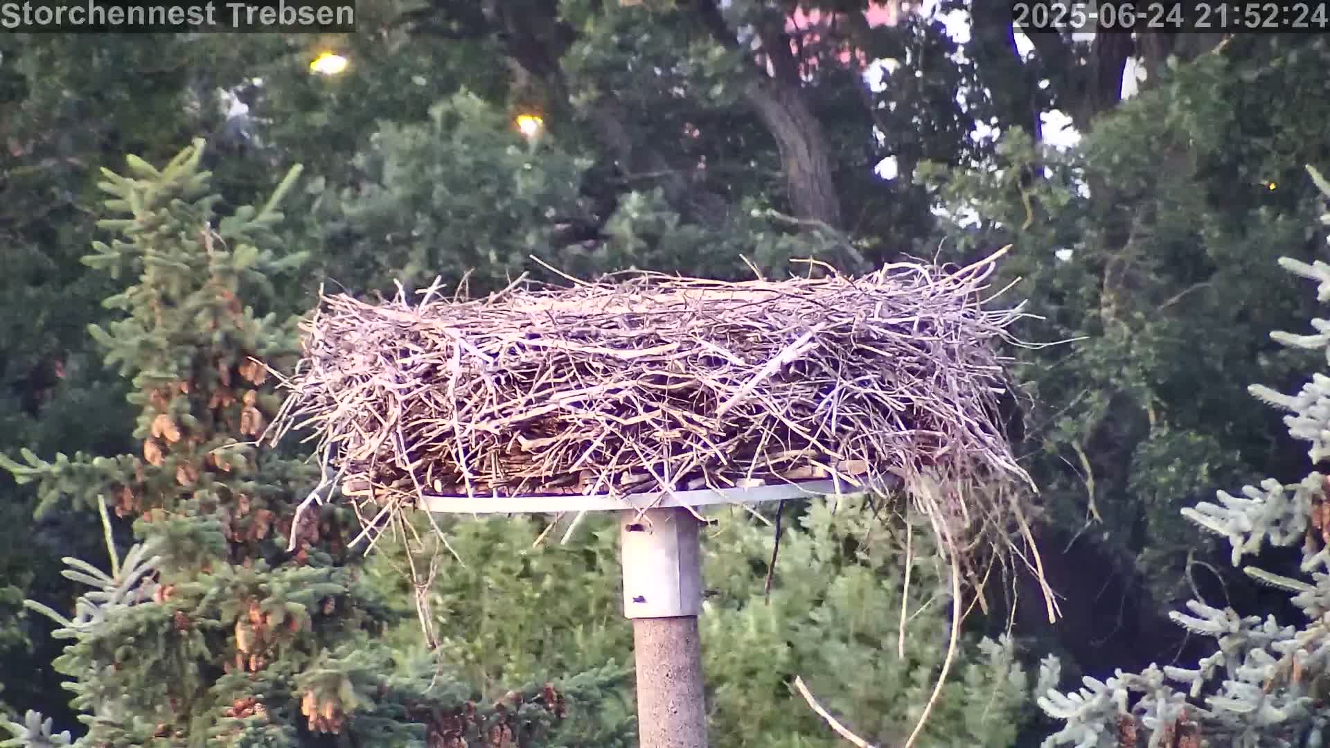Now live: Storchennest Trebsen