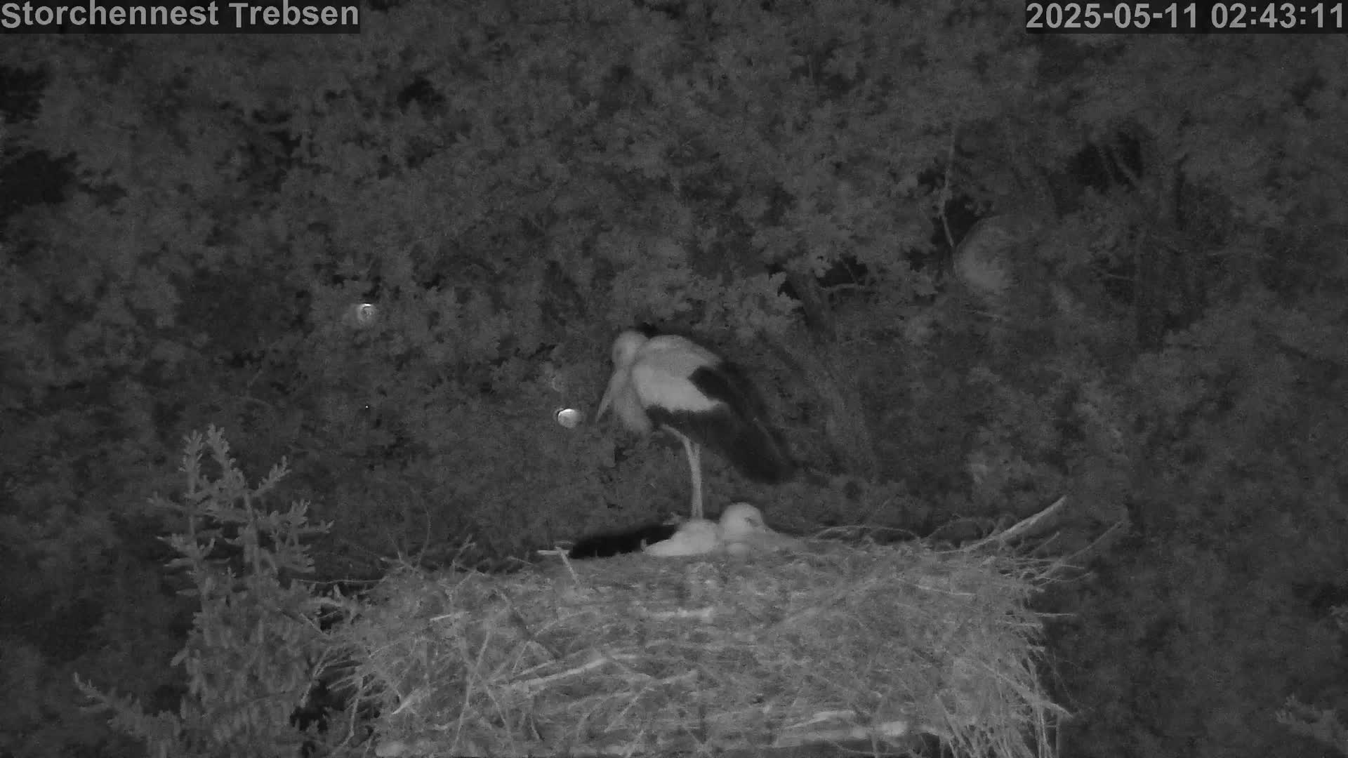 Now live: Storchennest Trebsen